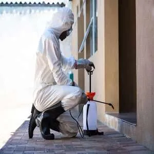 Pest control service